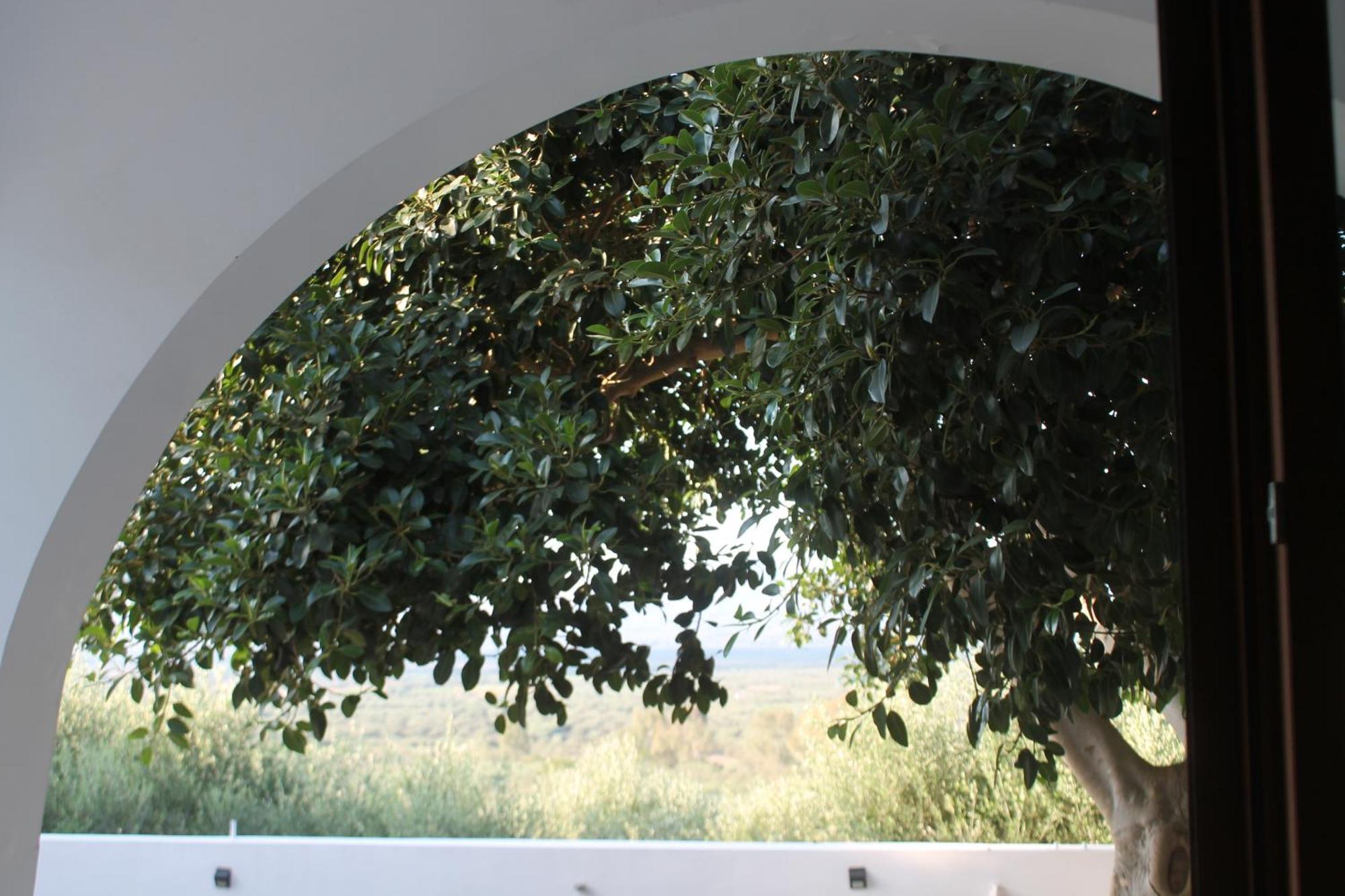 A Crystal Clear House In Pyrgos, Heraklion Crete Pirgos  Exterior foto